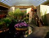 Oliver Wasow, Orchid show, Boulders Resort, Arizona
2002, Digital Inkjet